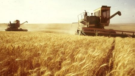 Двоє підприємців з Кіровоградщини отримали відзнаку «Заслуженого працівника сільського господарства»