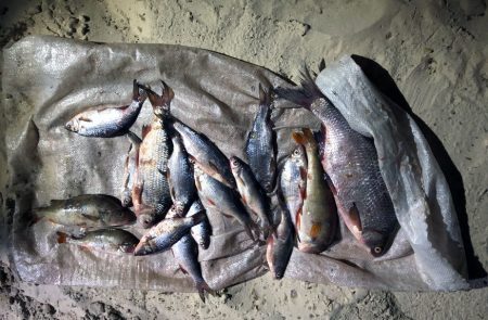 Порушник незаконно добув 213 кг риби у Кременчуцькому водосховищі