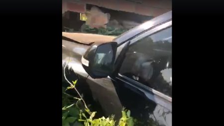 На Кіровоградщині нардеп від “Радикальної партії Ляшка” в’їхав у сарай. ВІДЕО