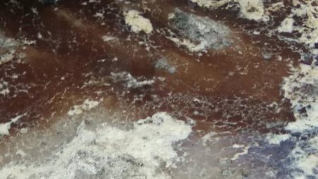 Держпродспоживслужба з’ясує, яку речовину розлили біля смітника на Попова та наскільки вона шкідлива. ФОТО