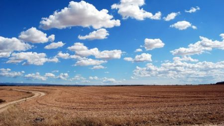 У Кропивницькому суд розгляне позов пайовиків до агропідприємства