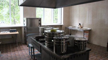 На харчоблоках трьох дитячих таборів Кіровоградщини виявили кишкову паличку