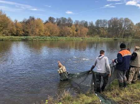 Кременчуцьке та Кам’янське водосховища на Кіровоградщині зарибили міліорантами. ФОТО
