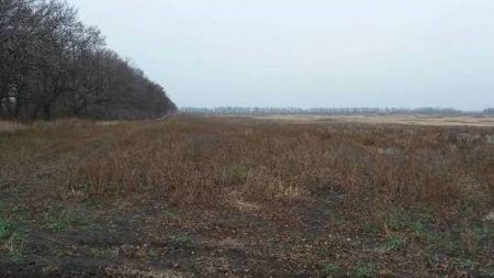 На Кіровоградщині підприємство подало до суду через недопуск до земельних торгів