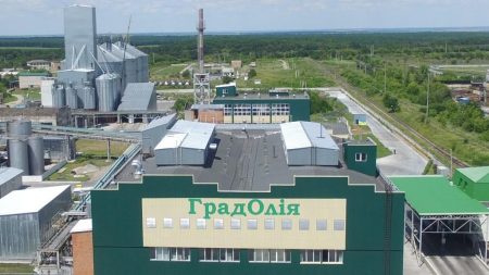 Митний «відстій»: порушень при перевірці вантажів «Градолії» не знайшли, але осад лишився