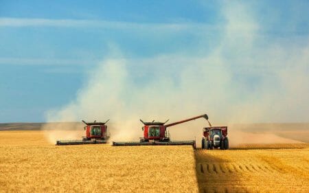 На Кіровоградщині УЗЕшники заблокували збір зерна на полі – директор ДП “Червоний землероб”