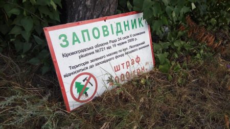 Суд не задовольнив позов екоактивістів до міськради Кропивницького