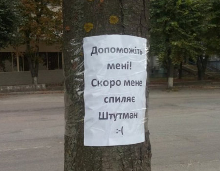 «Навколо «Червоної зірки» відбувається якась туйня» – дерева, які хочуть зрубати, «заговорили». ФОТО