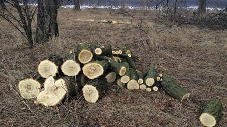 Пороблено: вже третій посадовець зі Світловодська потрапив у поле зору органів прокуратури Кіровоградщини