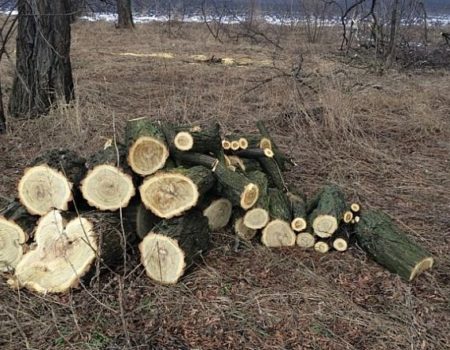 Пороблено: вже третій посадовець зі Світловодська потрапив у поле зору органів прокуратури Кіровоградщини