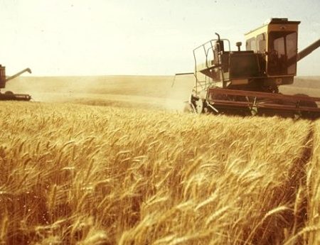 Двоє підприємців з Кіровоградщини отримали відзнаку «Заслуженого працівника сільського господарства»