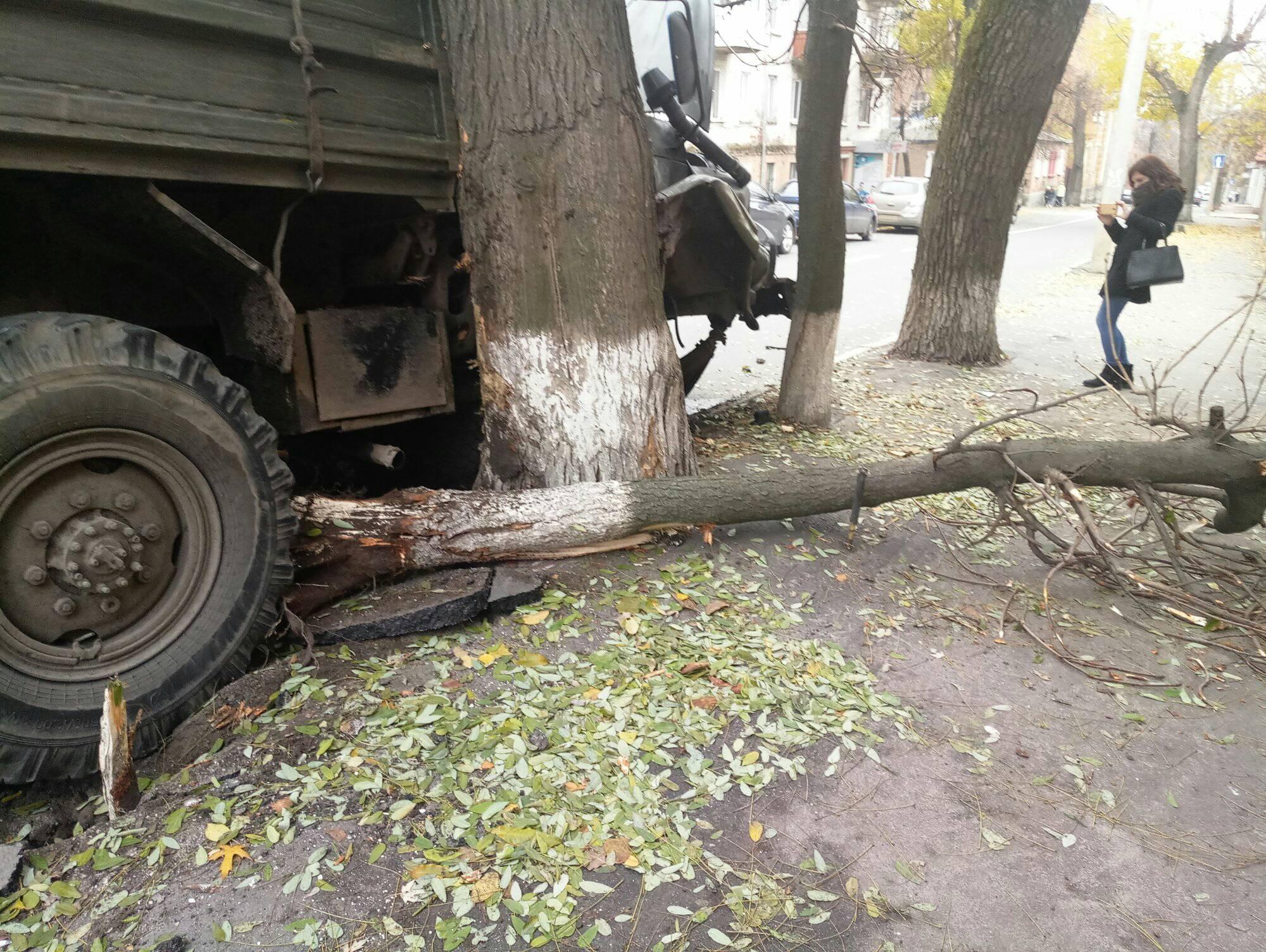 У Кропивницькому вантажівка з дровами і несправними гальмами наламала дров, врізавшись у дерево. ФОТО