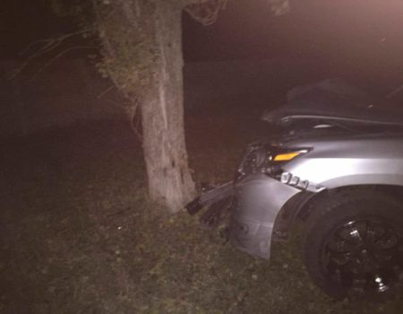 У Кропивницькому водій лексуса розбив автівку об дерево. ФОТО