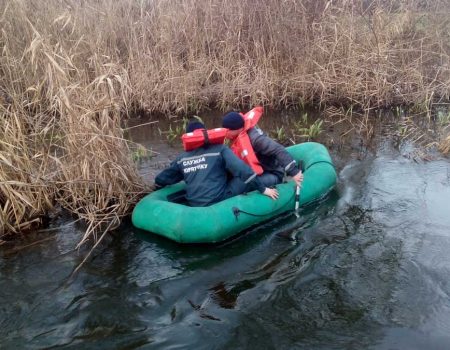 На Кіровоградщині в Добровеличківському районі втопилася пенсіонерка