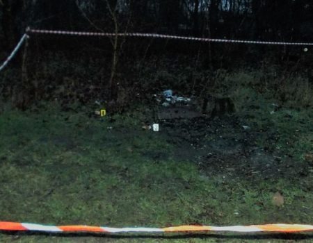 У лісосмузі неподалік Кропивницького знайшли обгорілий труп жінки, вбивцю вирахували за годину