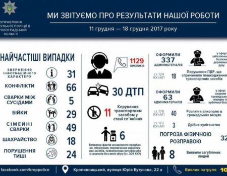 30 ДТП і 29 бійок: патрульна поліція Кропивницького відзвітувала за тиждень роботи. ІНФОГРАФІКА
