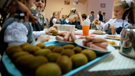 Пов’язана з Табаловим фірма ще рік годуватиме школярів Кропивницького