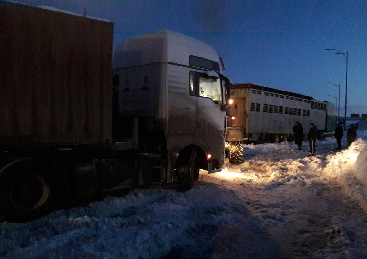 У західних районах Кіровоградщини через снігопади утворилися затори на дорогах із кількох десятків авто. ФОТО