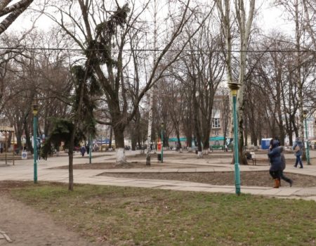 У міськраді Кропивницького знову заговорили про знесення дерев у Центральному сквері