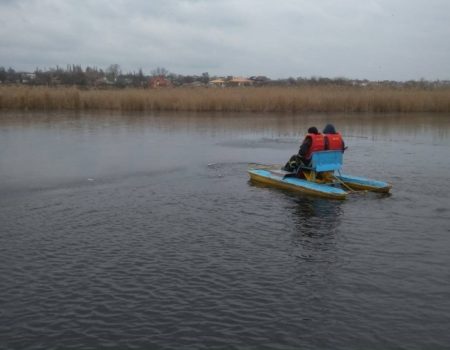 На Кіровоградщині рятувальники звільнили лебедя із крижаної пастки