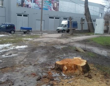 У міськраді Кропивницького визнали, що Програма озеленення більше спрямована на вирубку дерев