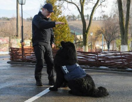 В ДСНС Кіровоградщини розповіли про своїх «колег» – службових собак-рятувальників. ВІДЕО