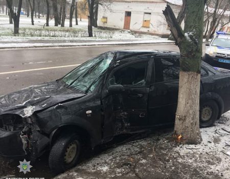 У Кропивницькому нетверезий водій злетів у кювет, вирвавши з коренем дерево. ФОТО