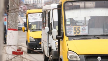 У Кропивницькому просять заборонити маршрутки типу “Дельфін”