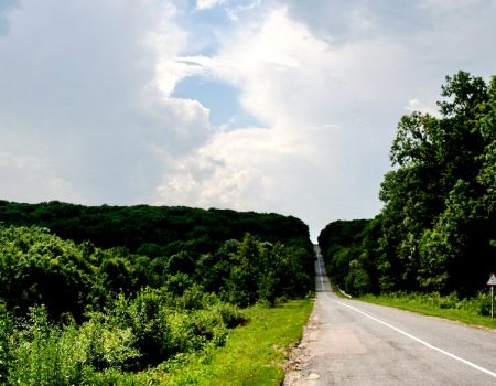 Заступник міністра та науковці виступають за створення на Кіровоградщині Чорноліського національного парку