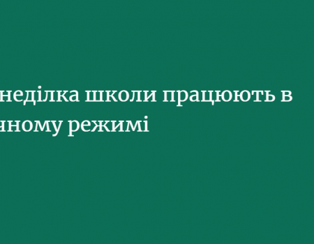 У Кропивницькому з понеділка відновлять навчання в закладах освіти