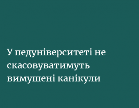 Центральноукраїнський державний педагогічний університет ім. В.Винниченка не відмінятиме вимушені канікули