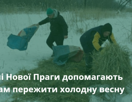 У Новій Празі люди допомагають лелекам пережити холодну весну. ФОТО