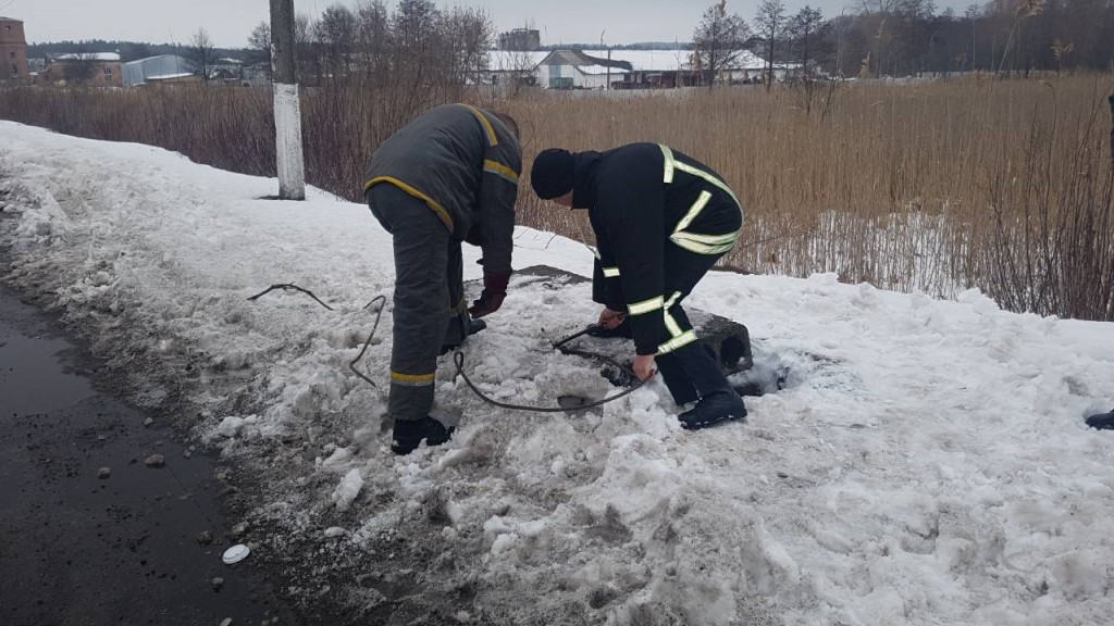 В Олександрівці рятувальники витягнули з каналізаційного колодязя собаку. ФОТО