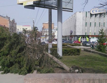 Повалені борди і дерева: наслідки негоди у Кропивницькому. ФОТО