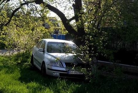 У Кропивницькому Skoda Octavia в’їхала в дерево. ФОТО, ВІДЕО
