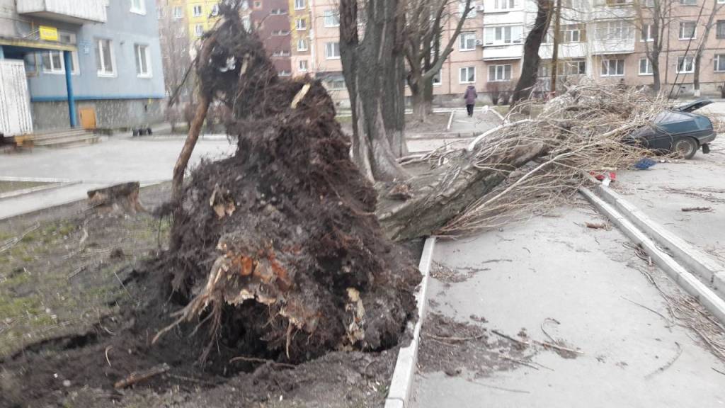 Повалені борди і дерева: наслідки негоди у Кропивницькому. ФОТО