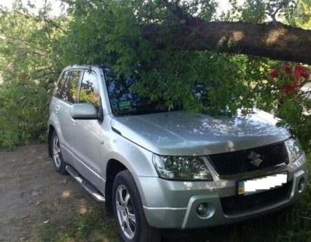 У Компаніївці деревина упала на автомобіль. ФОТО