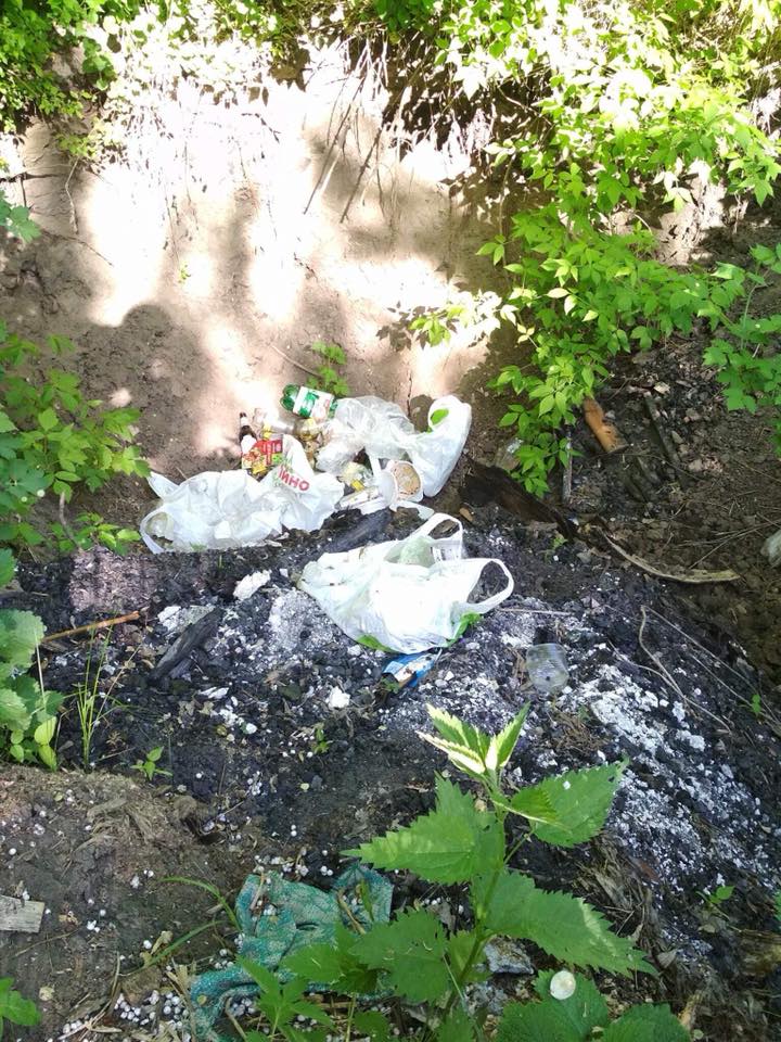 Прибрану напередодні травневих свят Лісопаркову відпочивальники перетворили на смітник