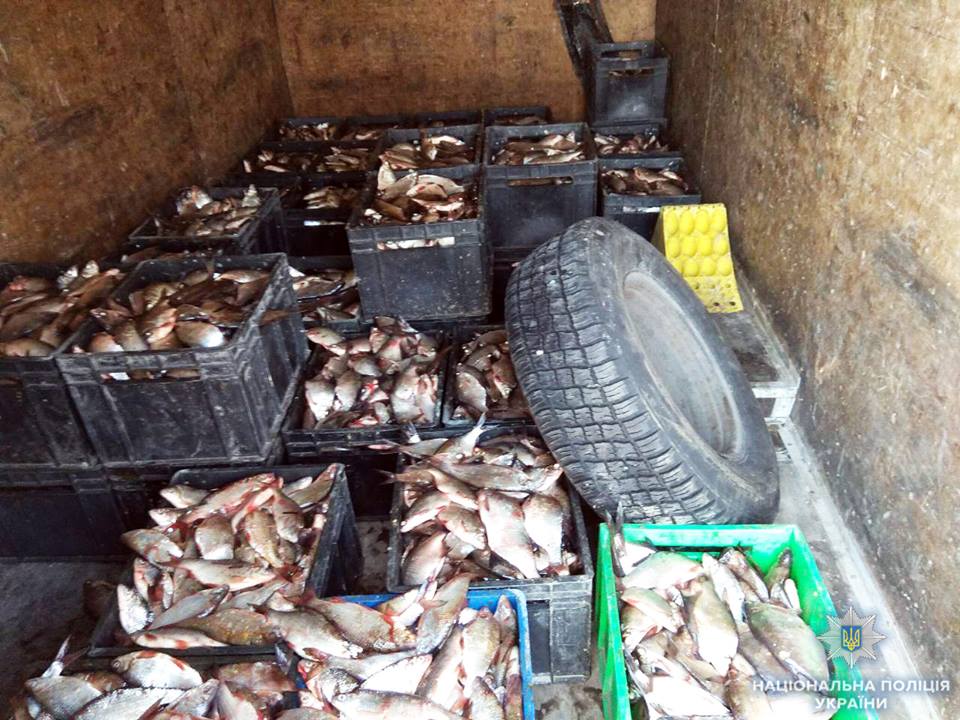 На Кіровоградщині вилучили понад 700 кілограмів незаконно виловленої риби. ФОТО