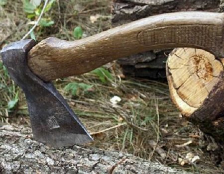 На Кіровоградщині прокуратура через суд хоче стягнути збитки з чоловіка, який вирубав дерева, щоб заробити на дровах