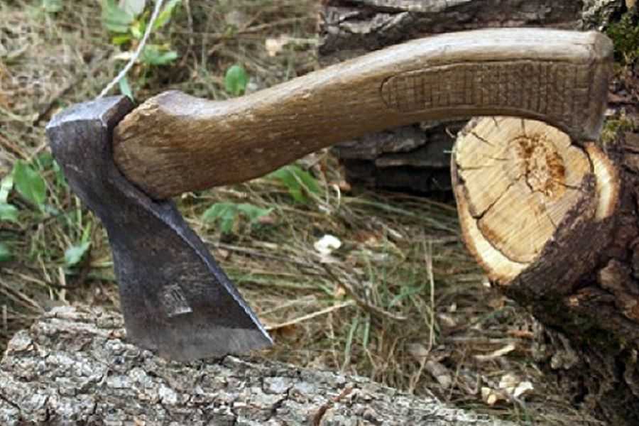 На Кіровоградщині прокуратура через суд хоче стягнути збитки з чоловіка, який вирубав дерева, щоб заробити на дровах