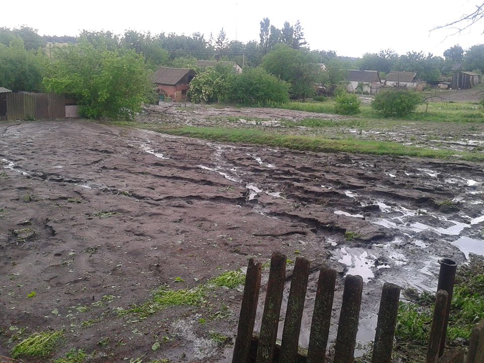 На Кіровоградщині дощ із градом знищили городину. ФОТО