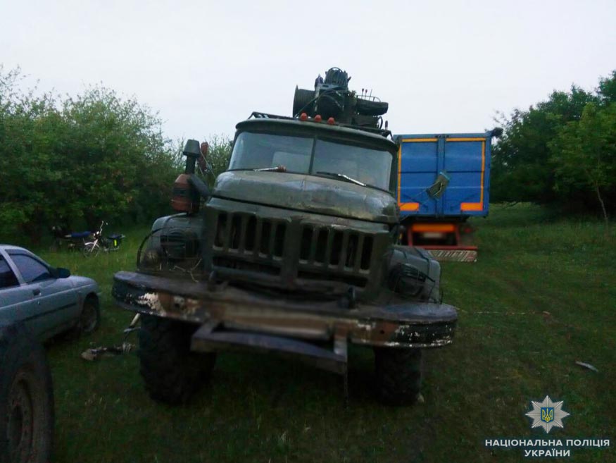 На Кіровоградщині поліцейські викрили &#8220;чорних лісорубів&#8221;, які знищили дубів на мільйон гривень