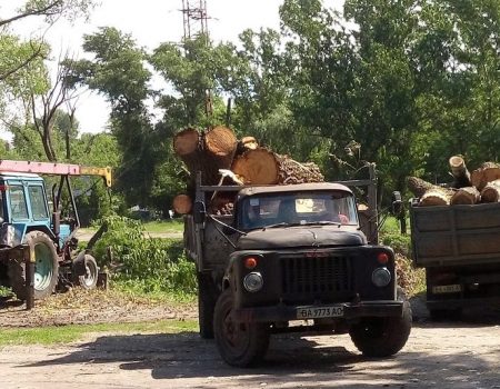 У Кропивницькому чиновники переконували, чому треба зносити дерева в районі Інгулу 