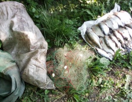 На Кіровоградщині рибоохорона вилучила 92 кілограми браконьєрської риби