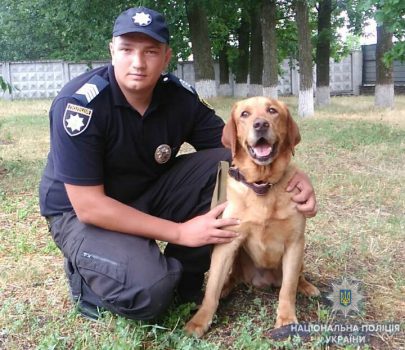 На Кіровоградщині службовий собака допоміг знайти засудженого-втікача