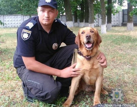 На Кіровоградщині службовий собака допоміг знайти засудженого-втікача
