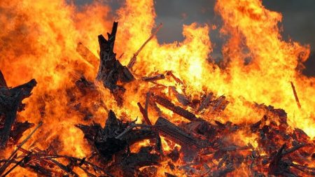 У Кропивницькому згорів дотла будинок директорки обласного художнього музею, жінка з донькою потребують допомоги