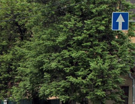 Патрульна поліція просить водіїв Кропивницького звернути увагу на нові дорожні знаки