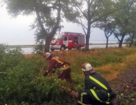 У Світловодську на залізничну колію впало кілька дерев. ФОТО